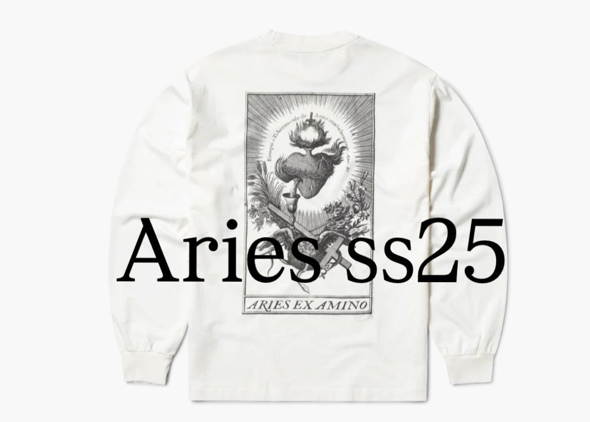 Faded Aries Ex Amino LS Tee / ARIES / OFF WHITE