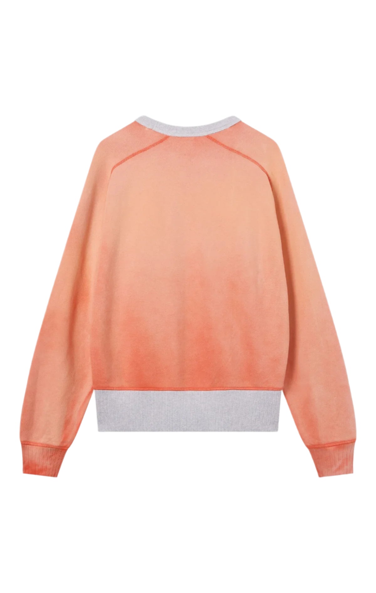 Archive Physical Education Crewneck / CHAMPION PINNACLE