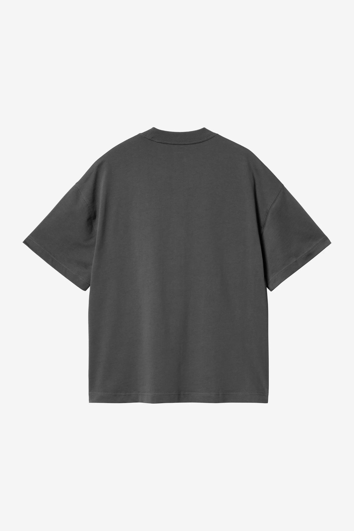 S/S Signature Script T-Shirt / carhartt wip / Graphite