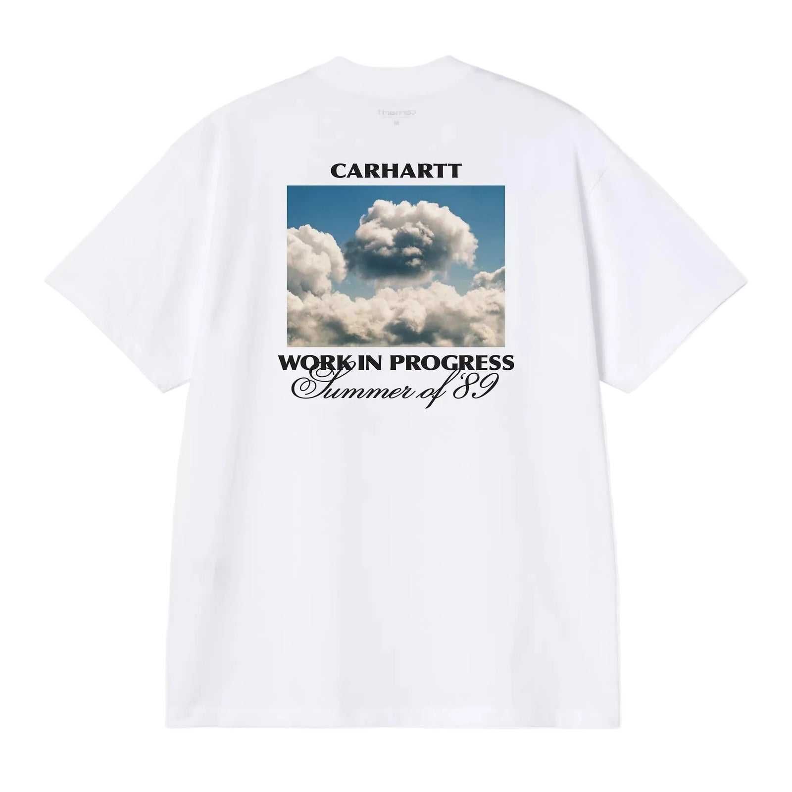 S/S Warm Views T-Shirt / carhartt wip / white