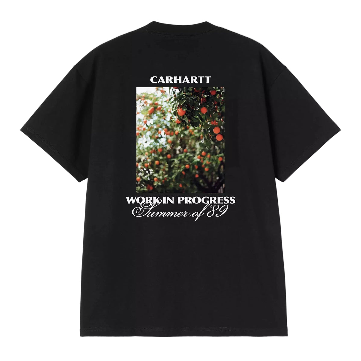 S/S Warm Views T-Shirt / CARHARTT WIP / BLACK