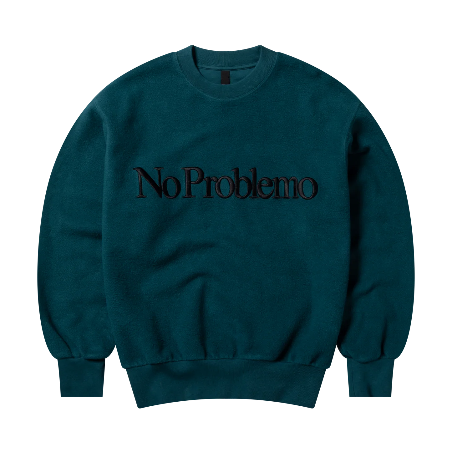 Reverse Fleece Sweatshirt / no roblemo / teal