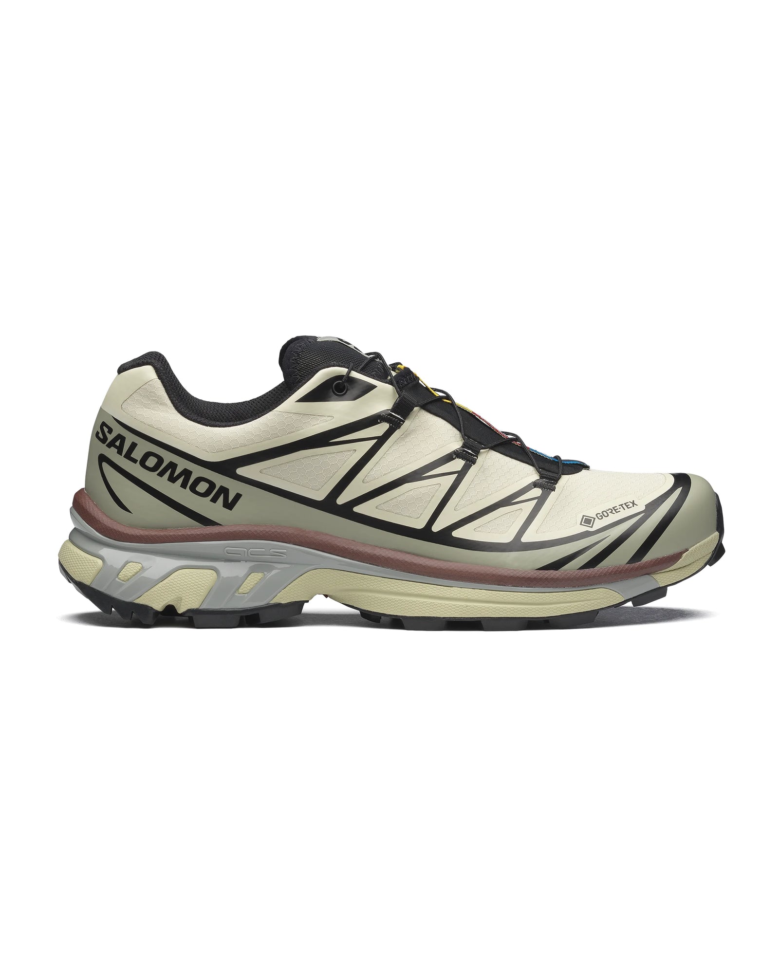 XT-6 GORE-TEX / salomon sportstyle / aspargus