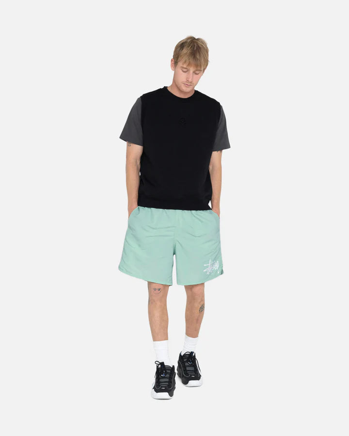 BIG BASIC WATER SHORT / STUSSY / MINT